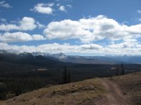 IMG_2293.jpeg