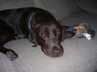 Lilly 013.jpg