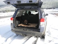 dutchsnowbreak.jpg