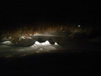 IMG00143-20110222-2042.jpg