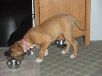 4-5-09 043.jpg