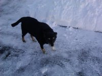 East Coast Snow.jpg