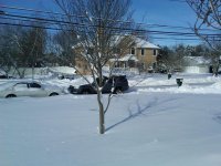 East Coast Snow (1).jpg