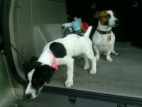 Peyton and Paris3.jpg