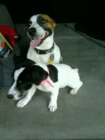 peyton and paris2.jpg