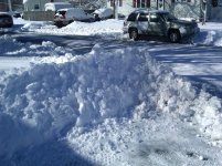 East Coast Snow (5).jpg