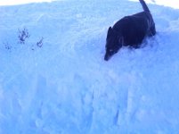 East Coast Snow (8).jpg