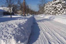 snow_021010_6.jpg