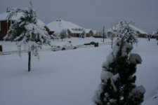 IMG_1795.JPG