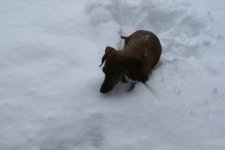 IMG_1797.JPG