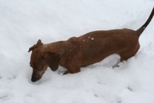 IMG_1798.JPG