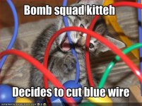 funny-pictures-bomb-squad-cat-chooses-the-blue-wire.jpg