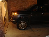DSC01119.jpg