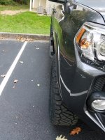 295 Profile.jpg