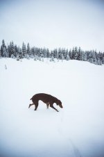 20180421_Ski Fremont Pass-14.jpg