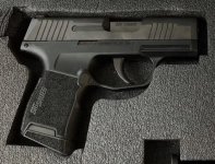 sig-P365.jpg