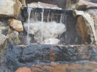 20180329_184438.jpg