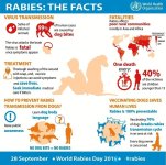 Rabies.jpg
