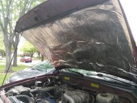 Hood insulation view 1.jpg
