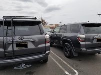 spotted, 04012018.jpg