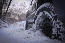 IMG_4184.jpg