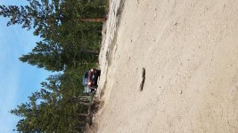 20180603_110331.jpg 20180603_110331.jpg