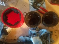 20180512_195312.jpg