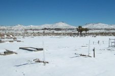 LV022.jpg