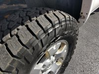 thumbnail (3).jpg