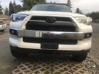 trd f.jpg