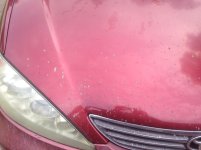 camry hood.jpg