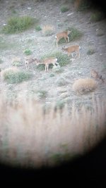 thumbnail (9).jpg