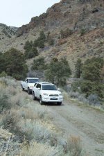36005-toyota and ford.jpg