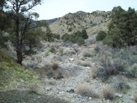 36007-Coyote Cyn.jpg