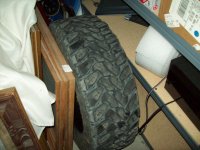 TOYO56.jpg