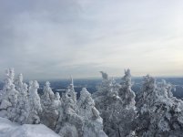 IMG_9067.jpg