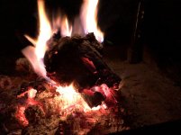 8a_IMG_3572 1-2_4Runner_-800x.jpg