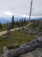 IMG_20180701_183407.jpg