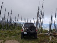 IMG_20180701_184336.jpg