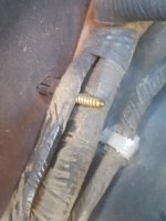 thumbnail (5).jpg