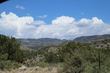 IMG_0135.jpg