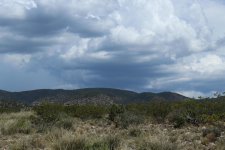 IMG_0235.jpg