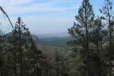 IMG_0271.jpg