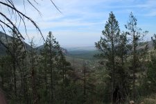 IMG_0275.jpg