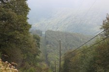 IMG_4257.jpg