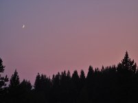 IMG_2672.jpg