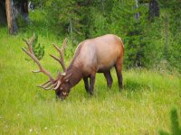 IMG_2669.jpg
