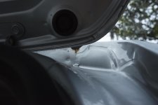right side.jpg