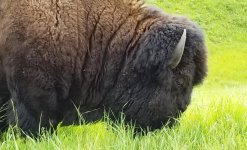 20180624_174440e.jpg