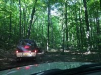 IMG_4386.jpg